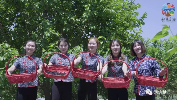 QQ浏览器截图20191018125322.png
