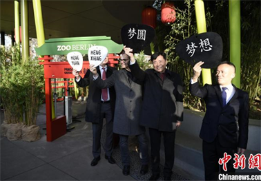 QQ浏览器截图20191210110505.png