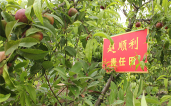 QQ截图20200609163721.png