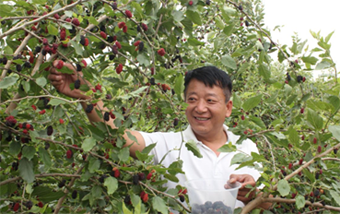 QQ截图20200609163751.png