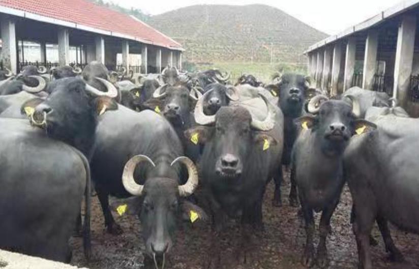 1669272452911772.jpg 微信截图_20221124144723.jpg