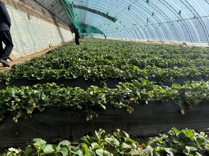 1772680765222546.jpg ScreenShot_2026-03-05_111818_242.jpg