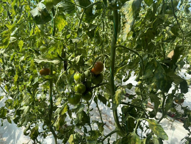 1772680805481598.jpg ScreenShot_2026-03-05_111838_876.jpg