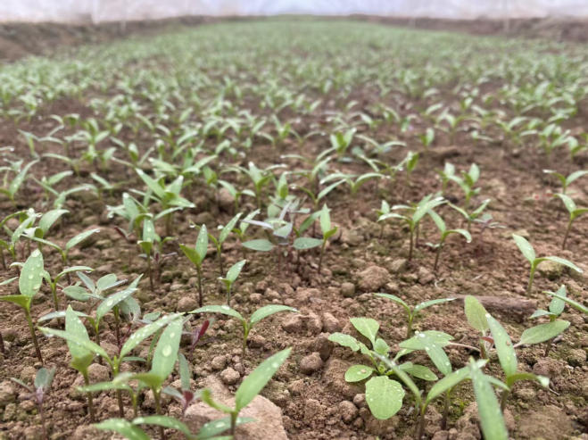 1773648394288242.jpg ScreenShot_2026-03-16_160546_683.jpg