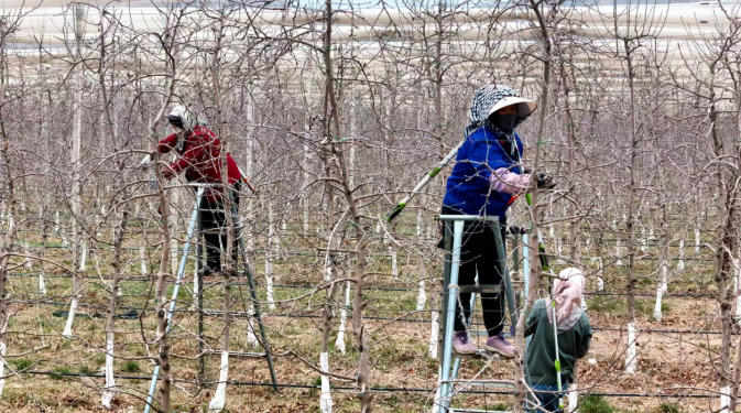 1774509149567860.jpg ScreenShot_2026-03-26_151104_579.jpg