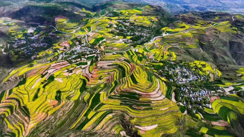 微信截图_20260506163549.jpg