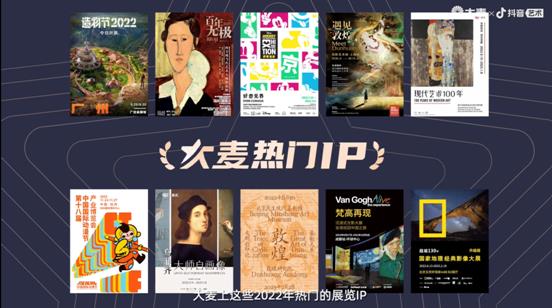 大麦联合抖音艺术发布《2022国内展览年终观察