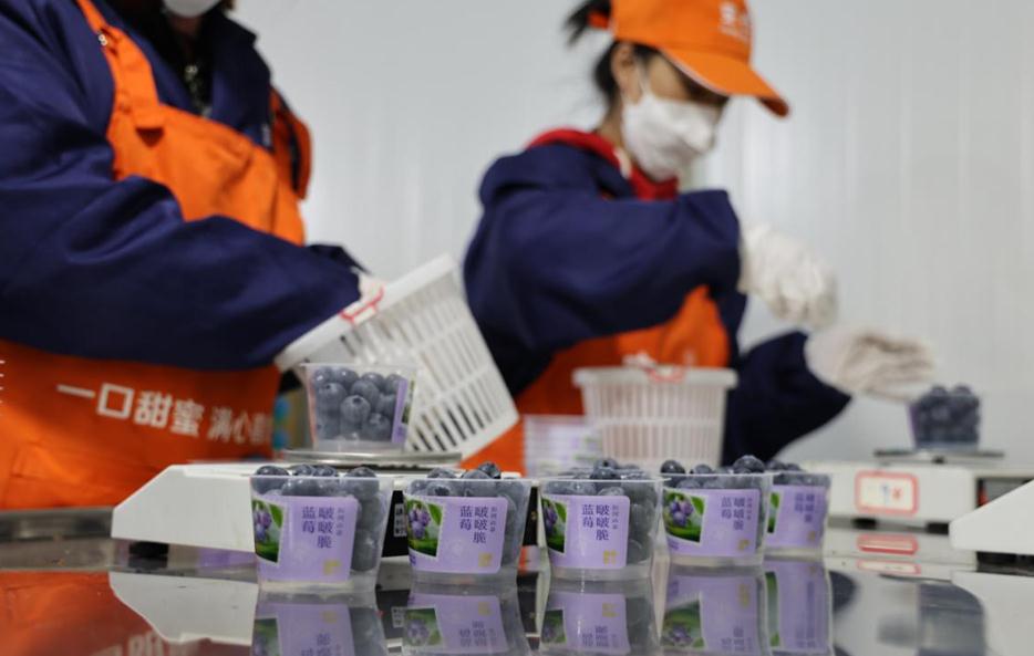 微信截图_20230410102406.jpg