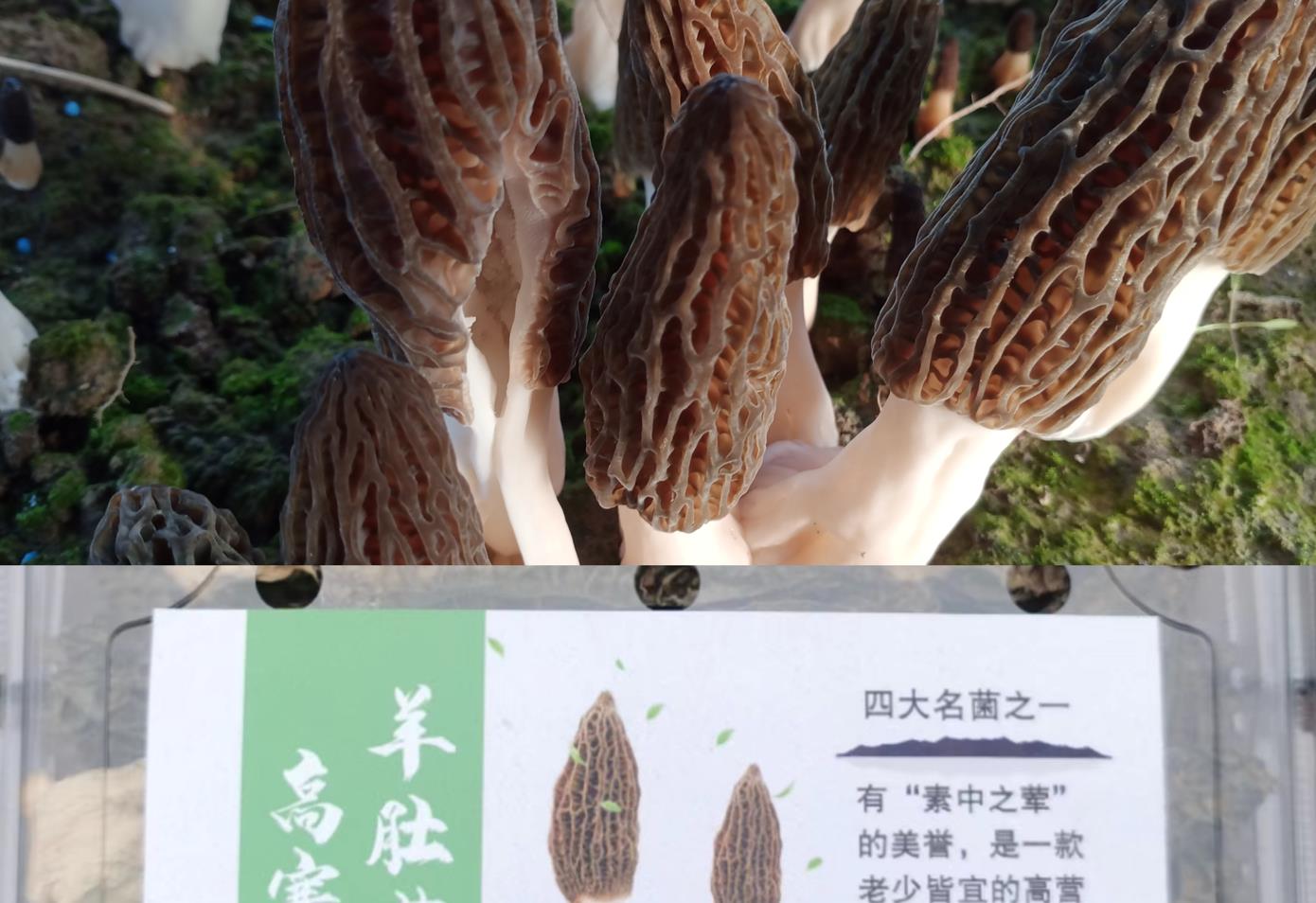 微信截图_20230520200148.jpg