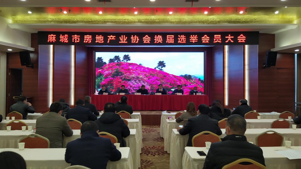 1609140304802230.jpg 1.jpg