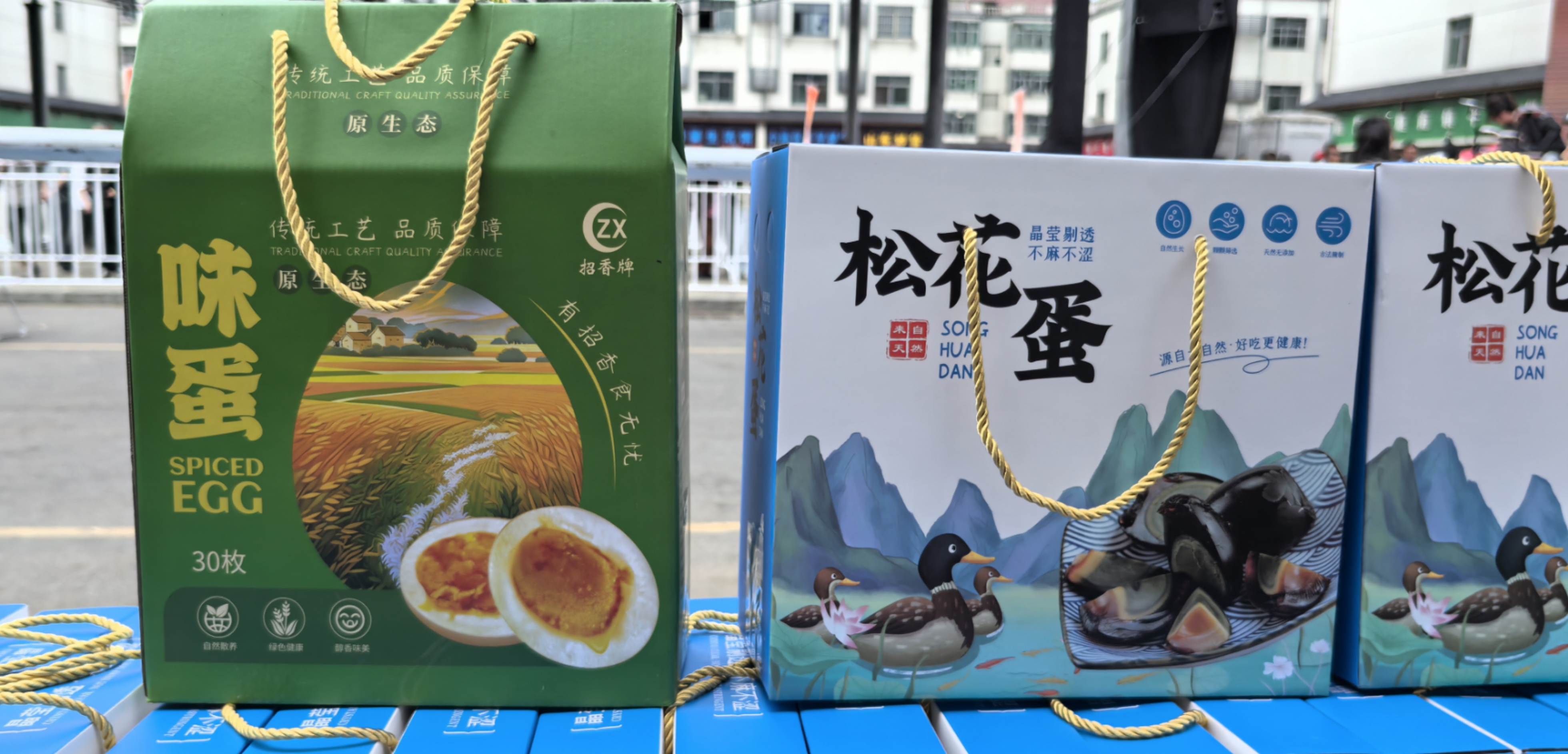16图片1.jpg