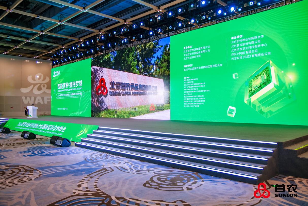 1728613391457030.jpg 2图片1.jpg