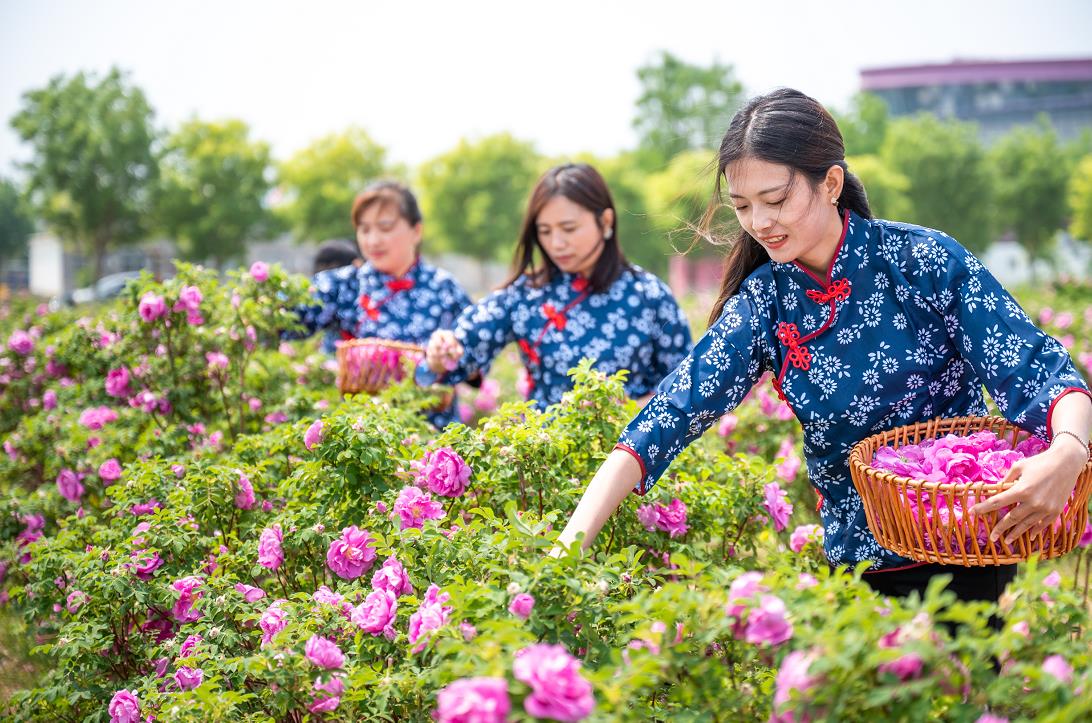 5微信截图_20241112140618.jpg
