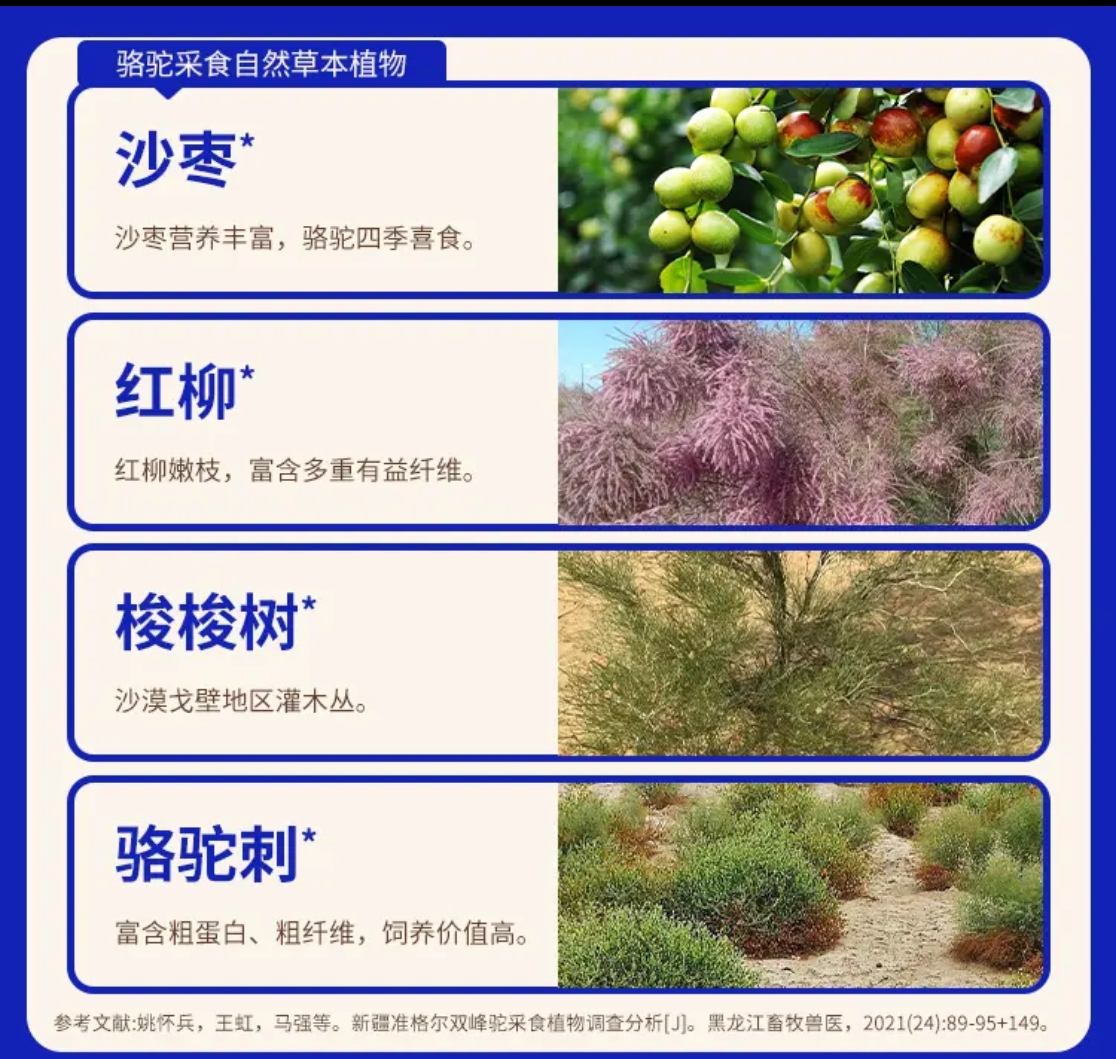 19图片1.jpg