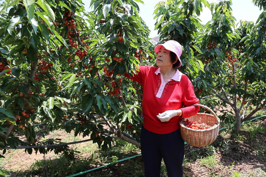 1747019718397604.jpeg 917469330014zz0coaytbmimage.jpeg