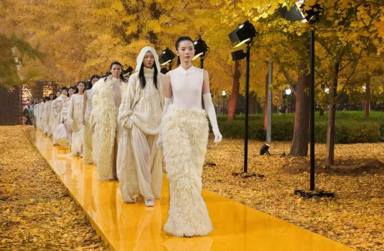 1770888477261017.png 9338779_b3f2305a-0489-4311-a97c-580194b274d2.png