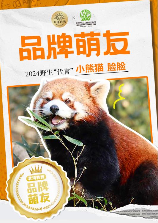 4微信截图_20240117172818.jpg