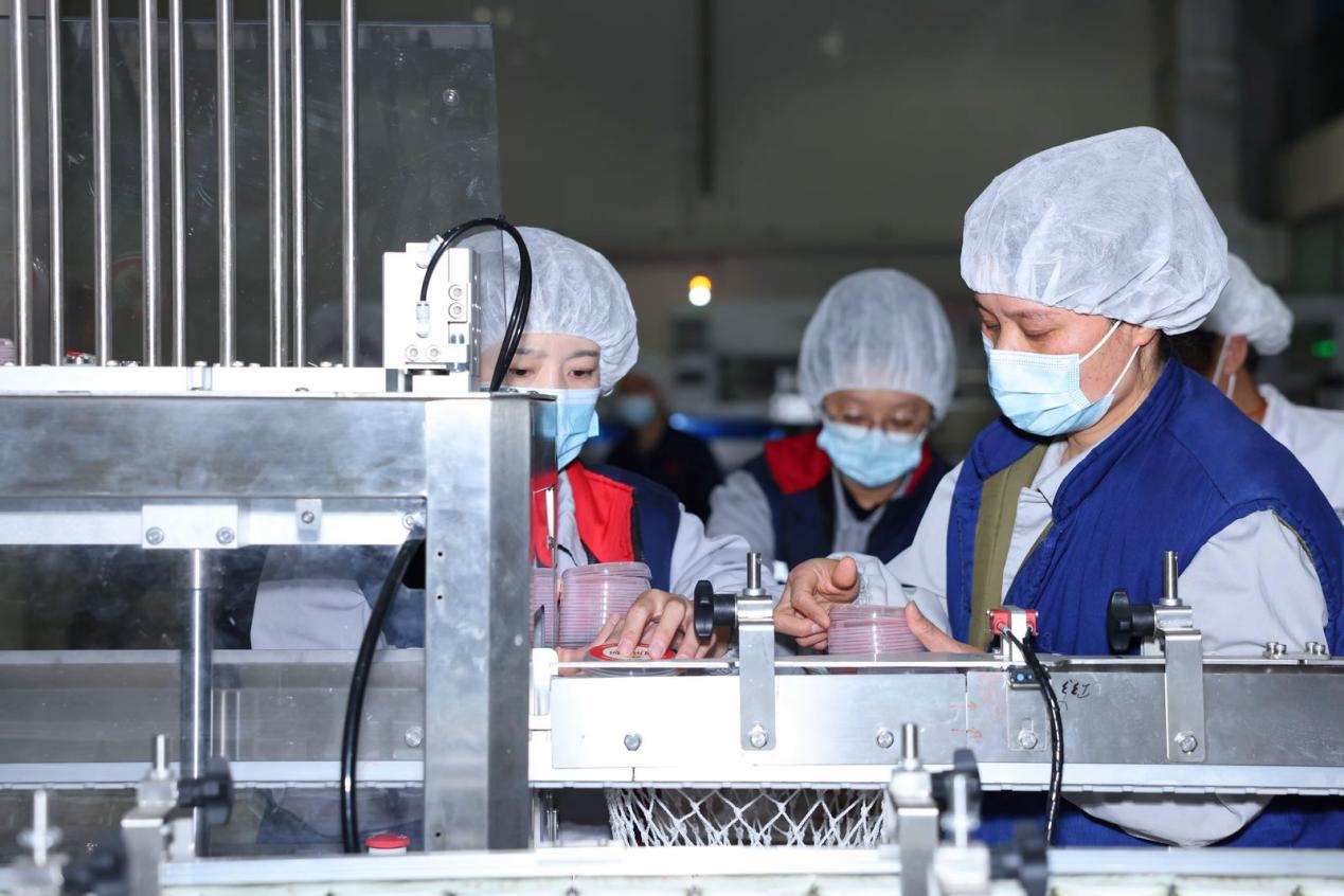 1771059550726231.jpg 3.jpg