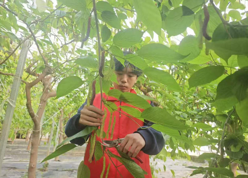 1770344847961789.jpg 2.jpg