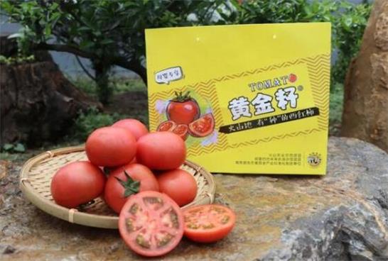 好2.jpg