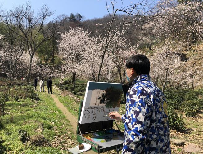 舒城县张母桥镇：樱桃花海拓宽旅游扶贫路