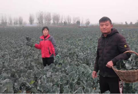 微信截图_20201203145406.jpg