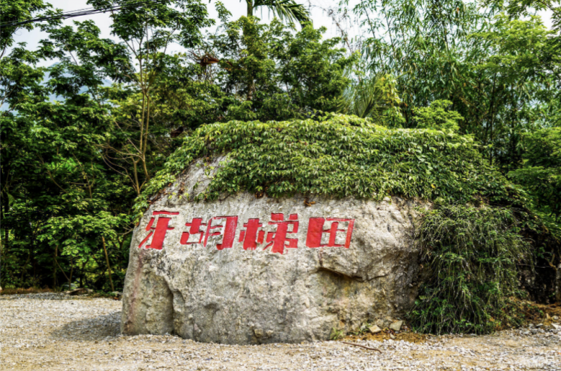 牙胡1.png