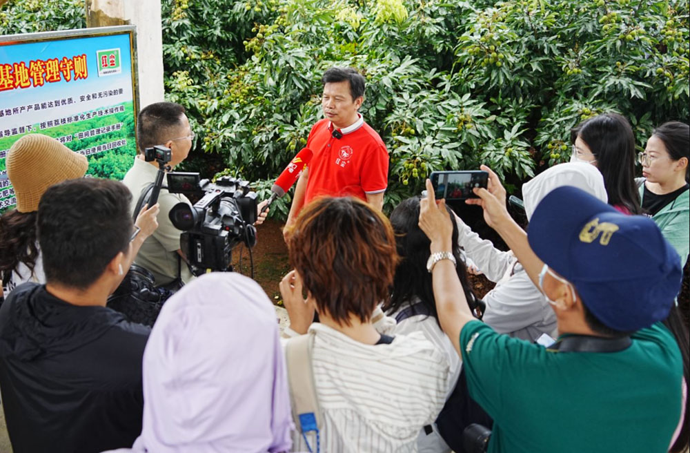 琼山荔枝10.jpg