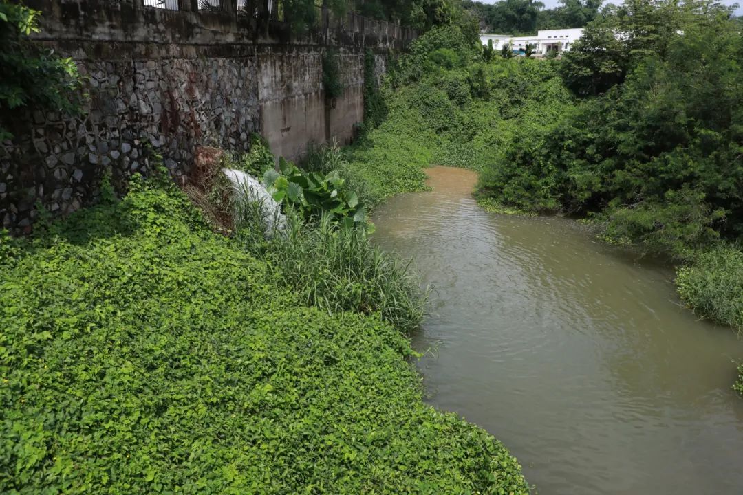 1686589182415130.jpg 白沙书记5.jpg