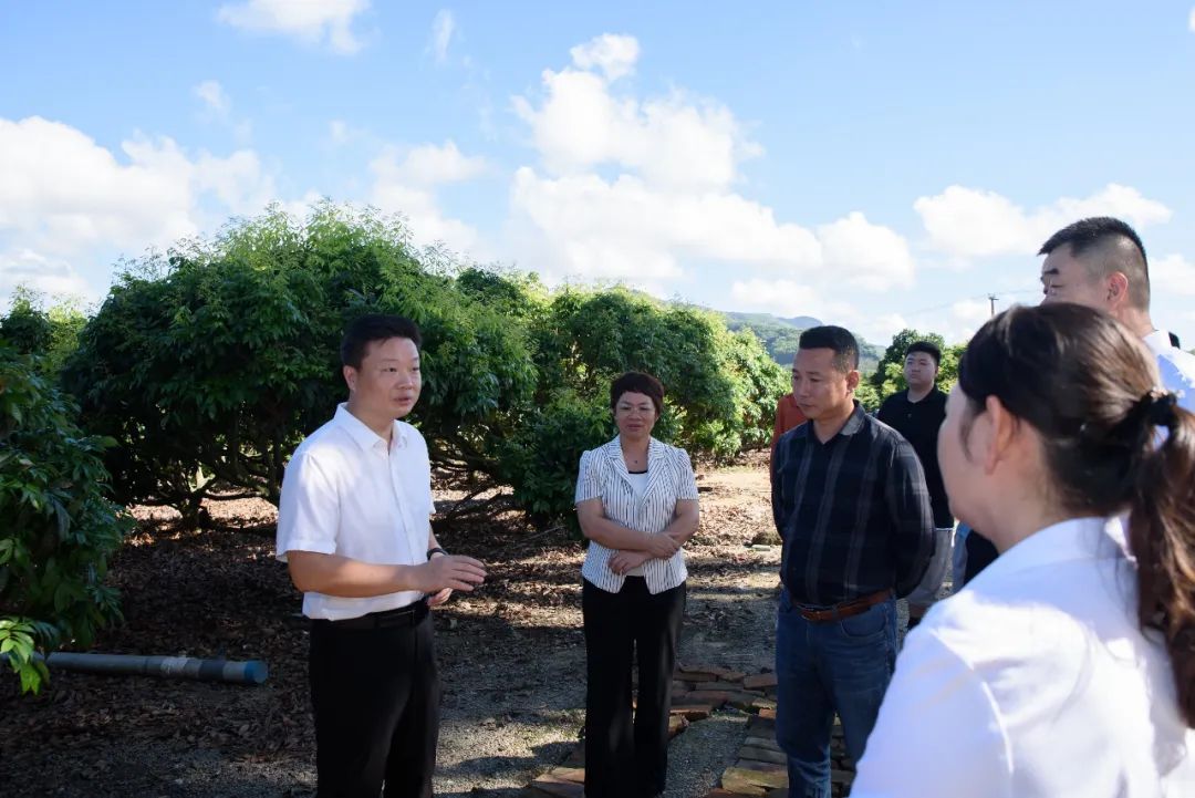 陵水1.jpg