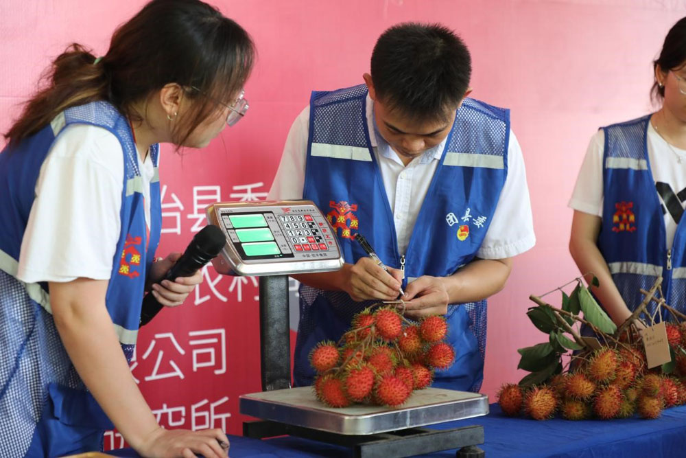 保亭红毛丹7.jpg
