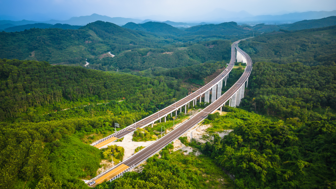 白沙5.png