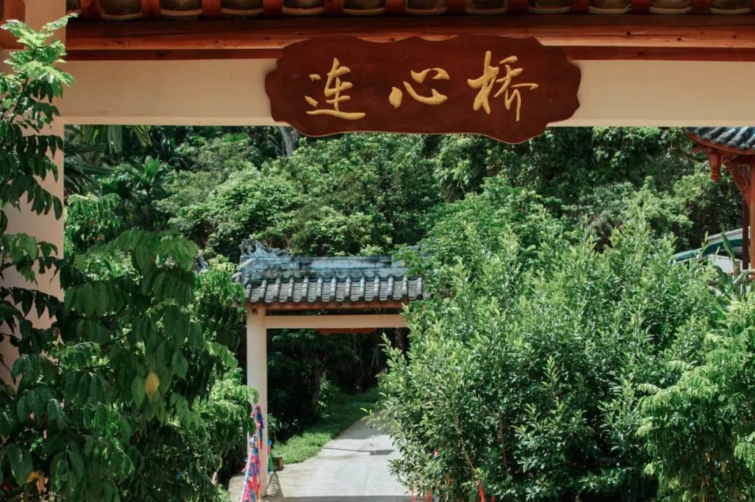 冒纳2.jpg
