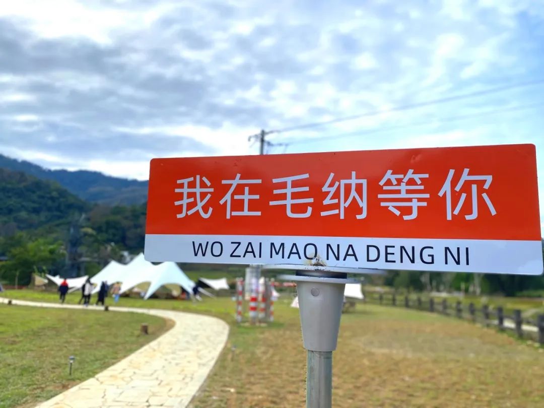 冒纳6.jpg