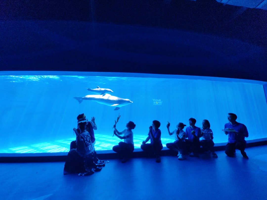 1722997211529512.jpg 1.jpg