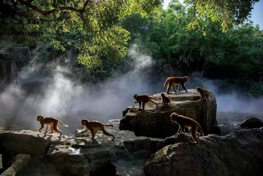 1724378786475519.jpg 2.jpg