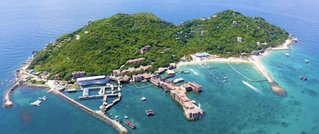 1724378809747267.jpg 4.jpg