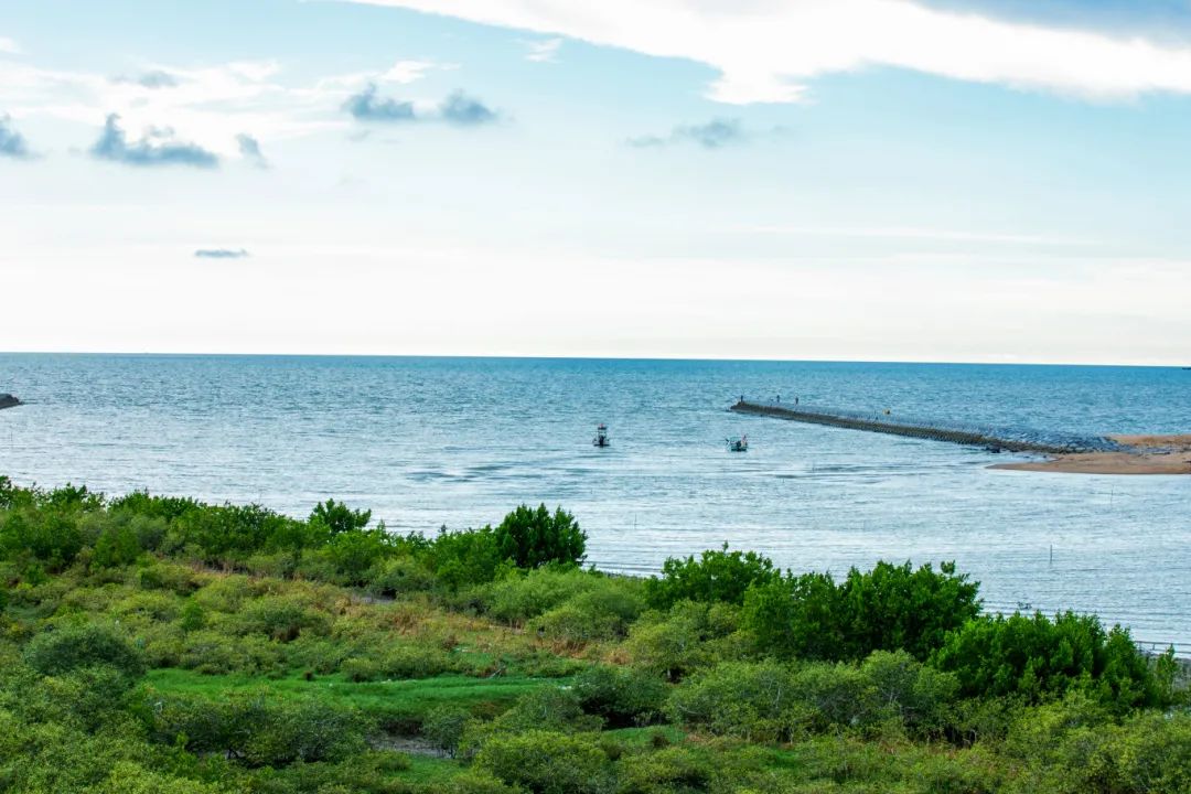 海南环岛旅游公路.jpg