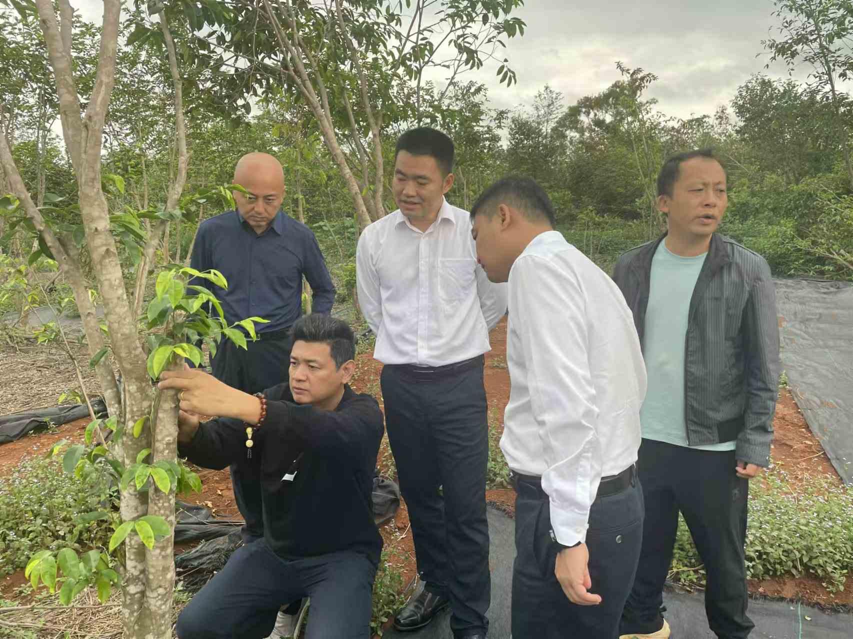 82575cbd8f79d95c8c7da0beb3cf01b(1)_极速看图.jpg