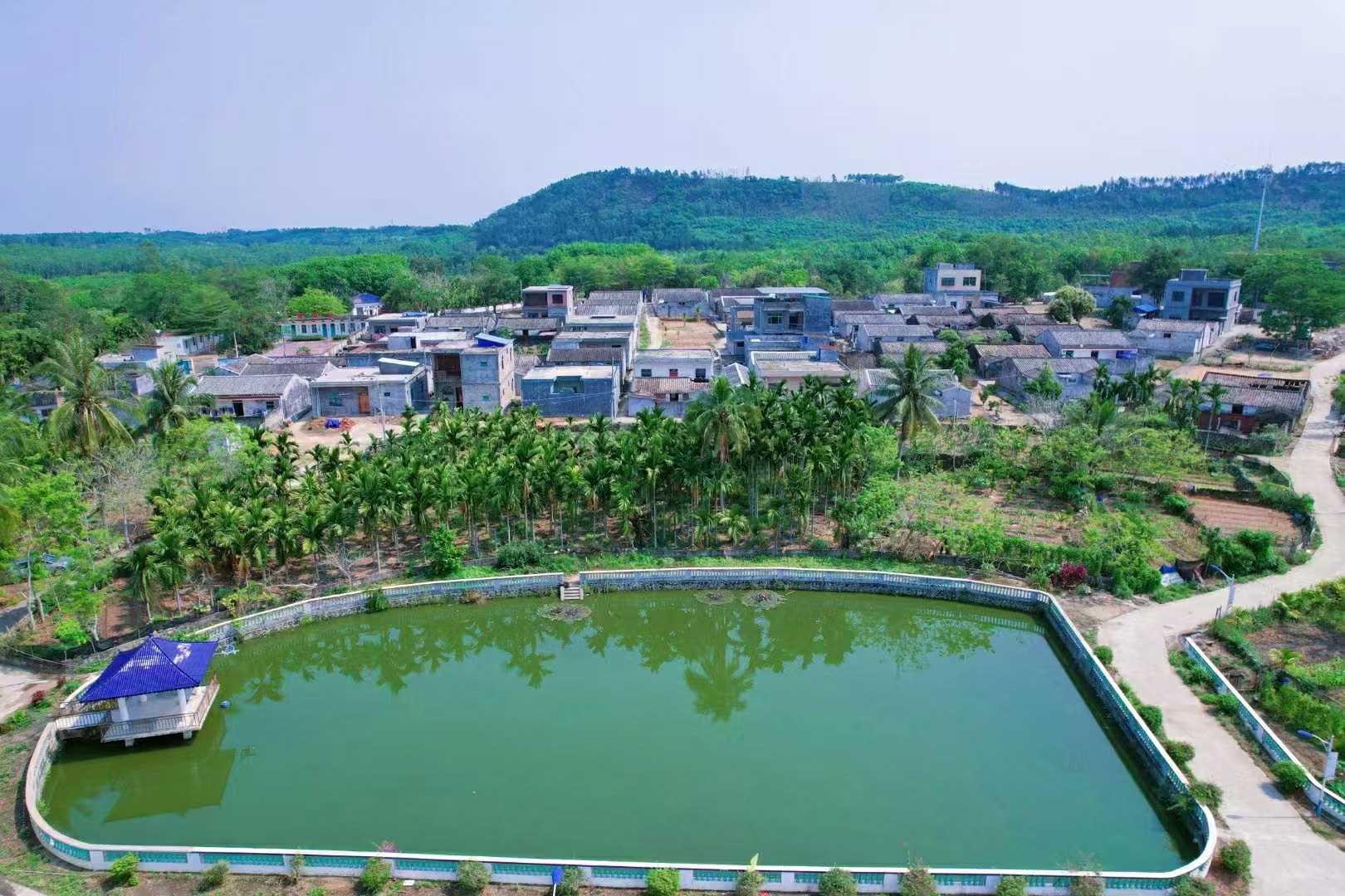 2f2deb54642d006b3e0dabeb67edd55(1)_极速看图.jpg