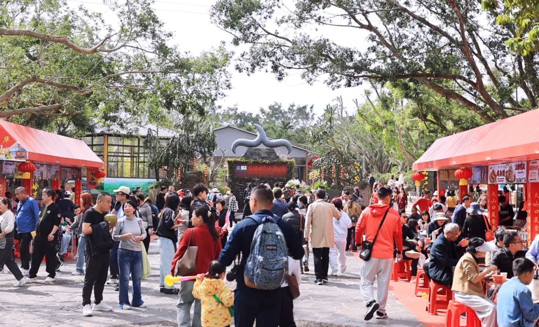 春节假期海口市秀英区迎客5504 万人次 供需两旺业态向新(图13)