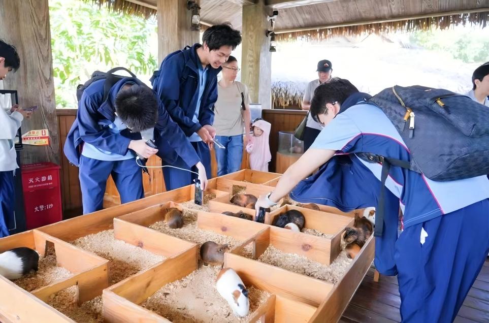 1764720703748693.jpg WPS图片(3).jpg