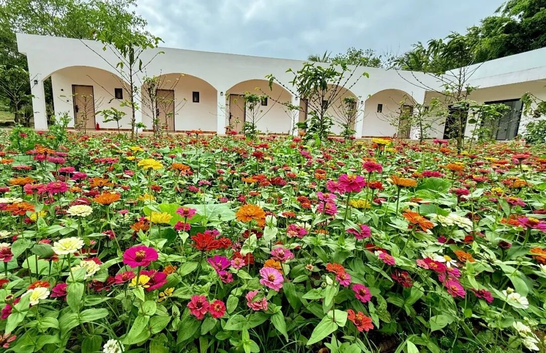 1765412903891663.jpg WPS图片(1).jpg