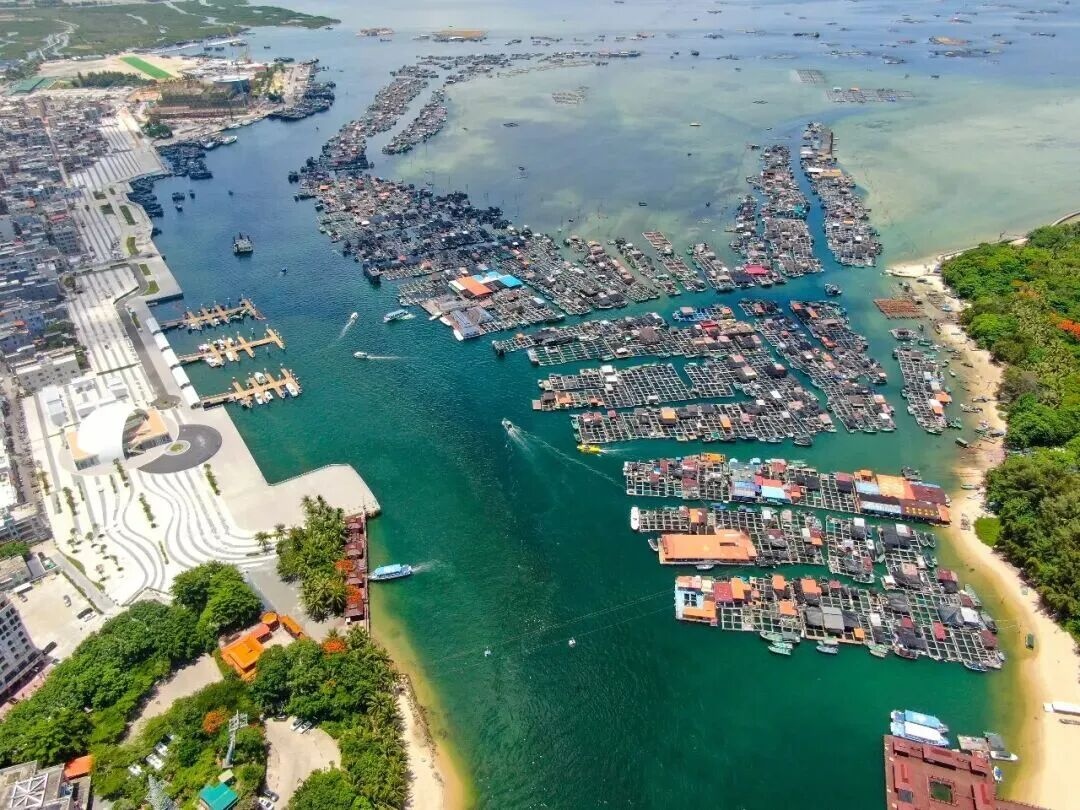 1765499512613633.jpg WPS图片(3).jpg