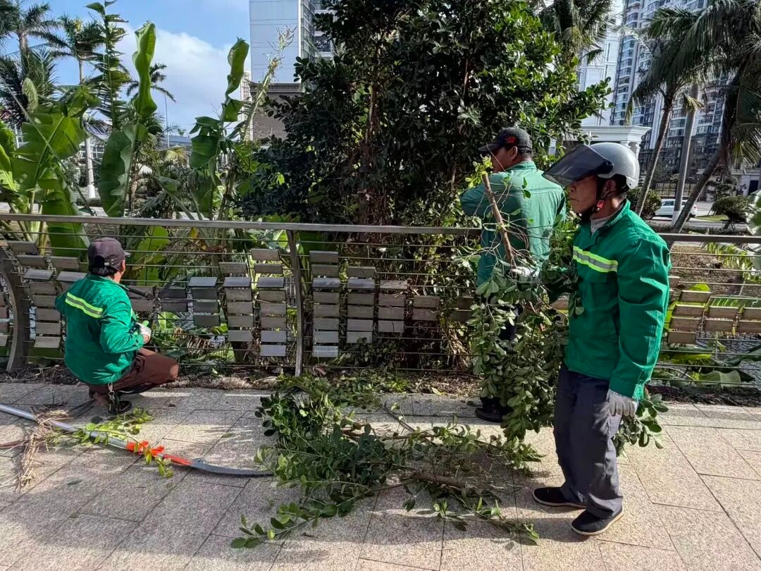 1766967833856131.jpg WPS图片(3).jpg