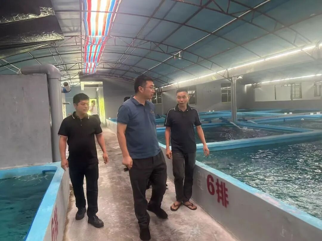 1768956365890871.jpg WPS图片(2).jpg