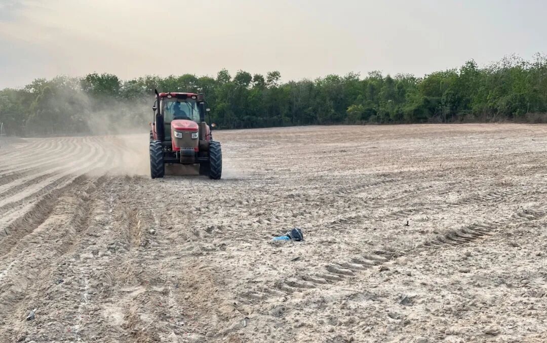 1773276950593283.jpg WPS图片(1).jpg