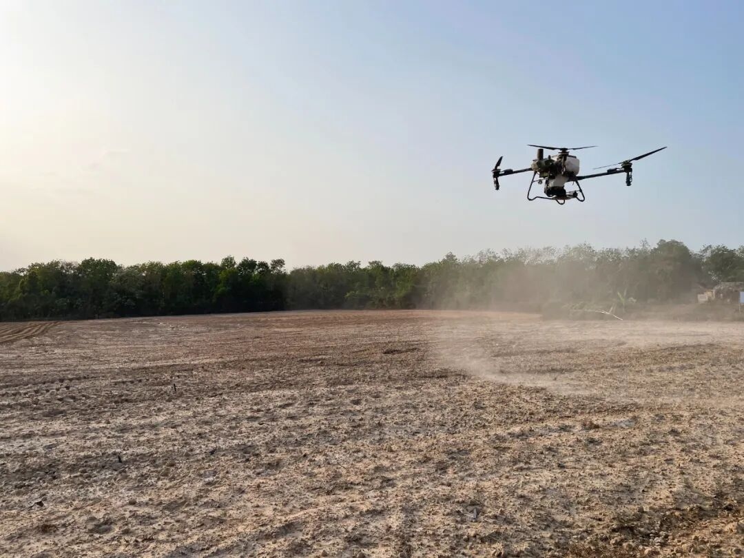 1773276962392078.jpg WPS图片(2).jpg