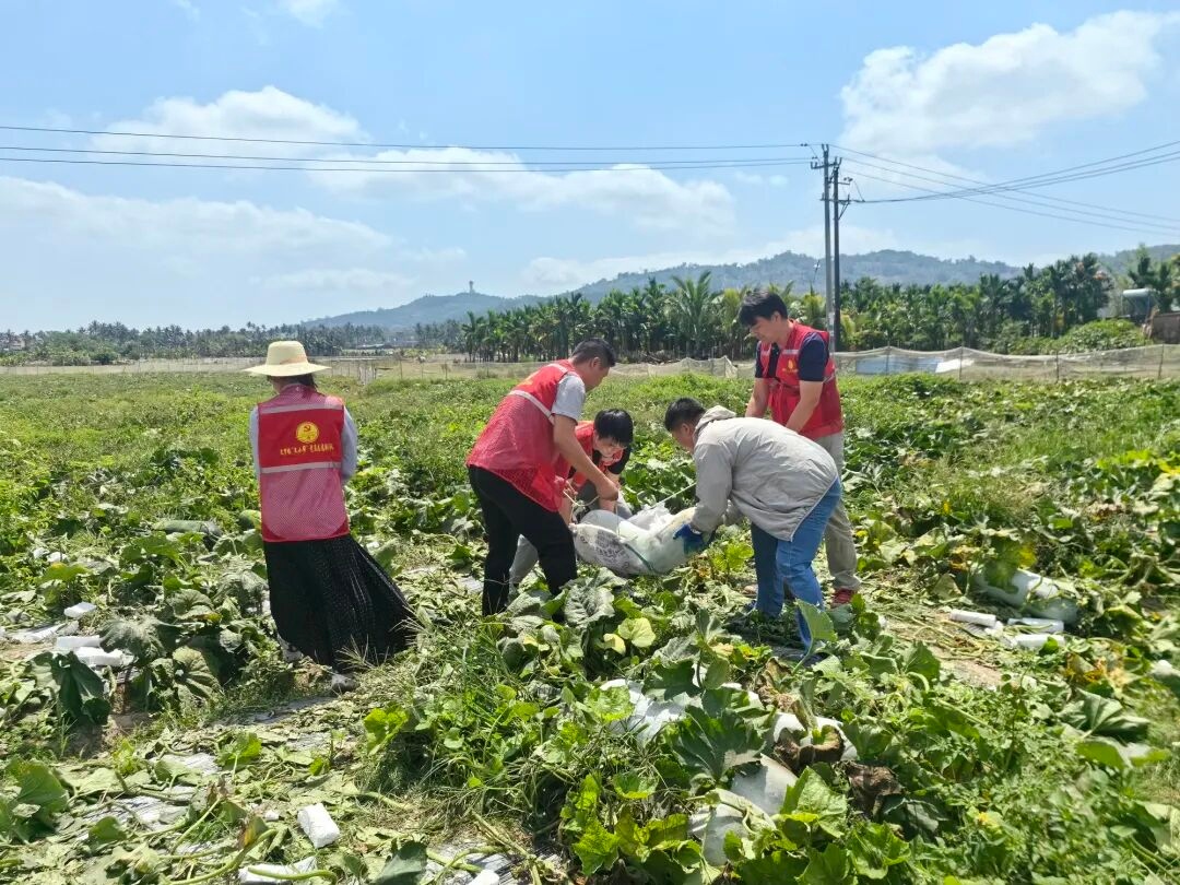 1775003510375463.jpg WPS图片(1).jpg