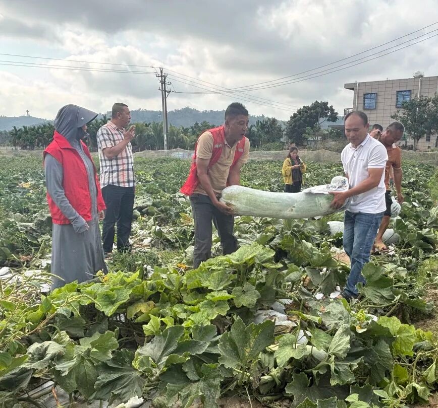 1775003515727990.jpg WPS图片(2).jpg